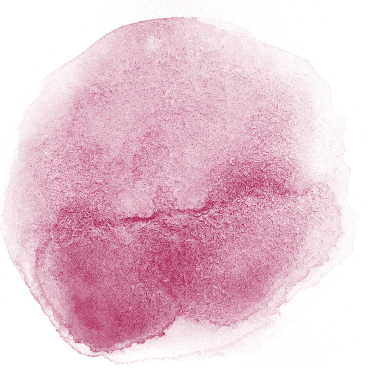 Red Wine Abstract Watercolor Stain